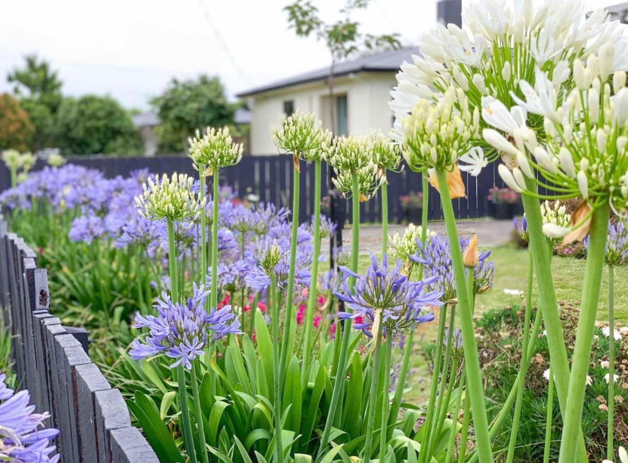 Central Garden Guest House Motueka ภายนอก รูปภาพ